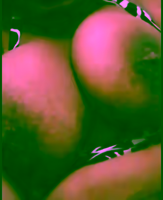 Big Tits