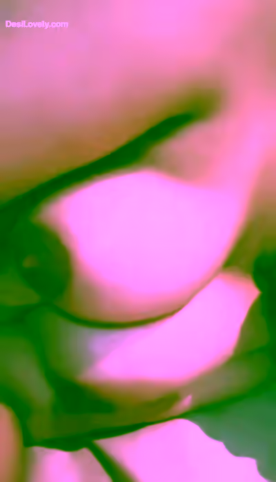 Desi Girlfriends Anal Sex