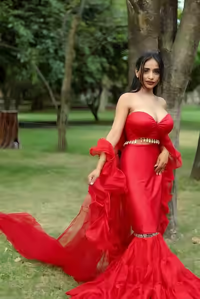 Big Boobs Desi Girl