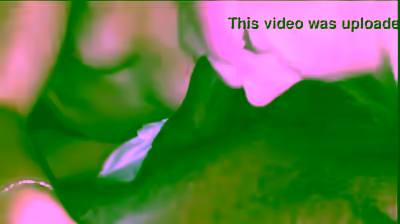 Ass, Pussy, Tits, Face It: Your Girlfriend/Wife Has BeenExposed