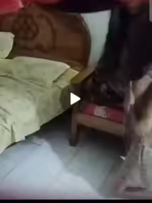 Viral Video: New 2026 Desi Big Boobs Beauty