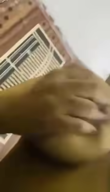 Bengali Babe Kisses and Shows