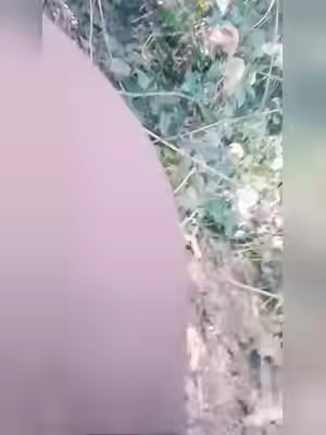 Horny Milf Takes Banana Bread in Pussy