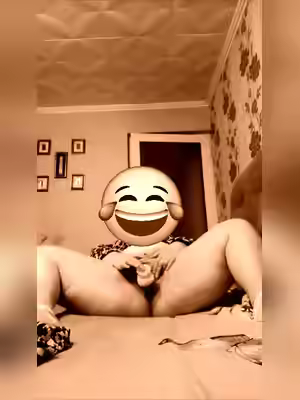 International BbW Models 2026