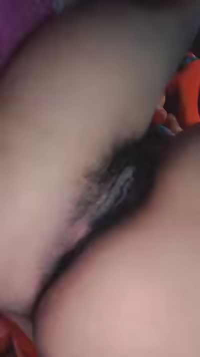 Pussy International 2026