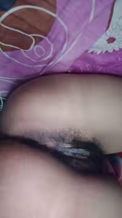 Pussy International 2026