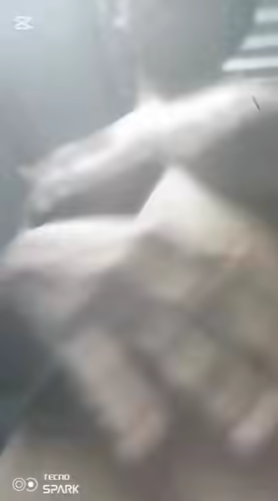 Fingering Clips with a Young VillagerGF