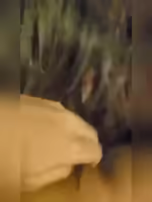 Desi Indian Girl Gives Blowjob