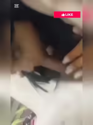 Bengali Couple Tiktoker Full Length Clips 2026