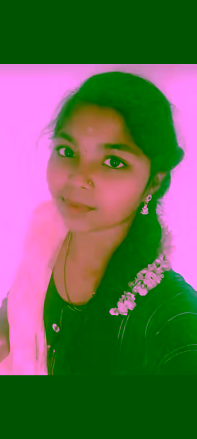 Harine, International Model 2026