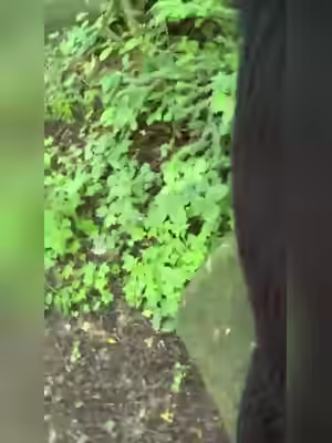 Kerala Mallu Hijjaby Muslim Aunty Enjoying Leak
