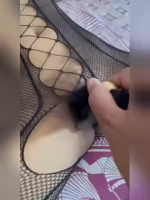 Indian Housewife Sucks Finger Outside
