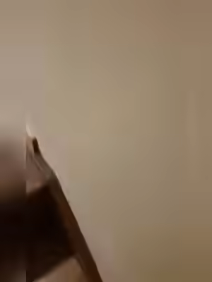 Vanessa's Video Collection 2026