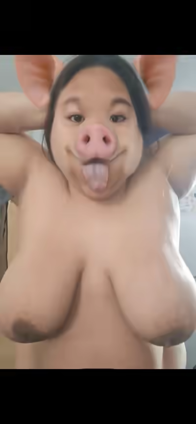 Ugly Asian Piggy Slut Body