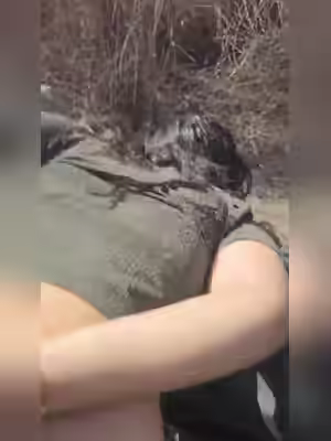 Indian Desi Girl Dancing and Fucked Outdoor