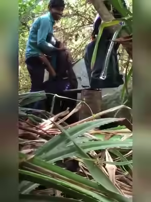 Desi Girl Sex In Jungle