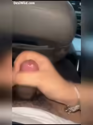 Cubby Girl Shows Boobs in Car Sex
