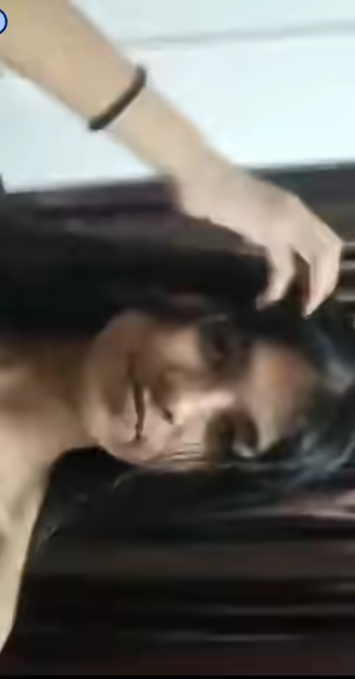 Leak
