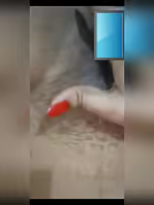 Beautiful Wife's Intense Fucking Scene