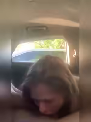 Ass, Pussy, Tits, Face It!