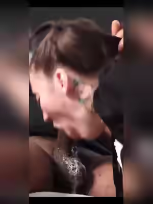 Ass, Pussy, Tits, Face It!
