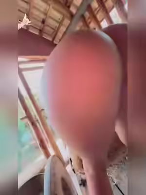 Love Large Cocks