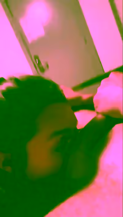 Ass, Pussy, Tits, Face It: Your Girlfriend/Wife Has BeenExposed
