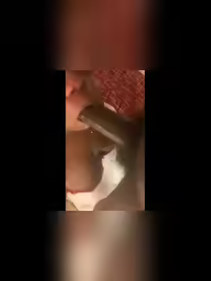 Ass, Pussy, Tits, Face It!