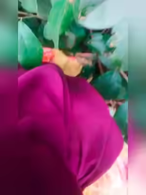 Viral Desi Hot Girl Leaked Big Boobs Big Ass